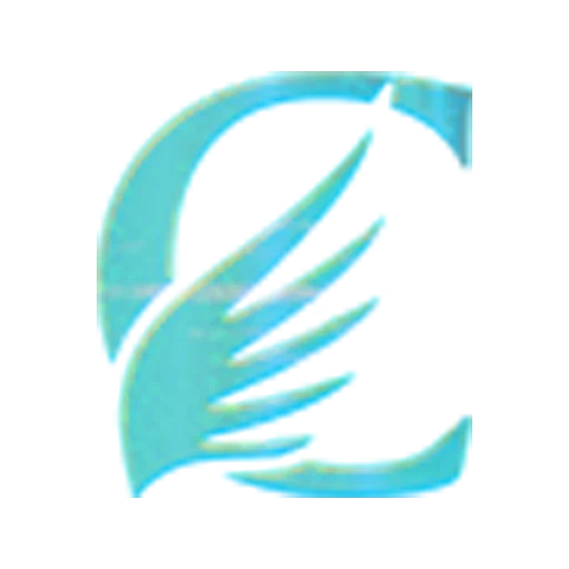 icon SPINJP76